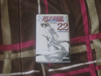 tomo 22 de bleach